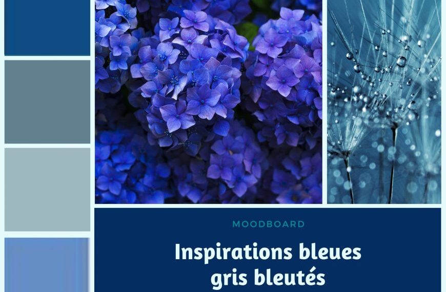 Classic Blue couleur de l&rsquo;année 2020